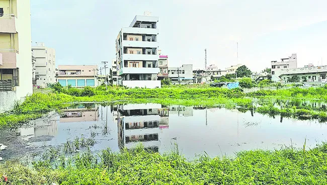 హడావు