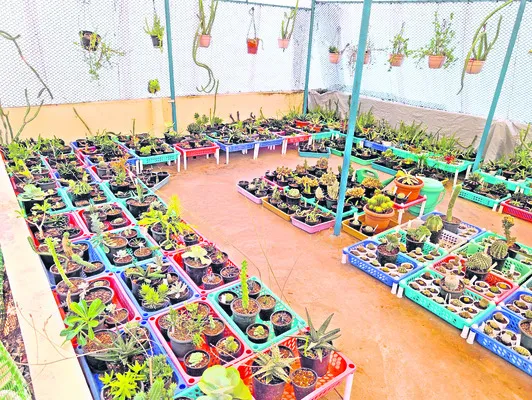 వండర్