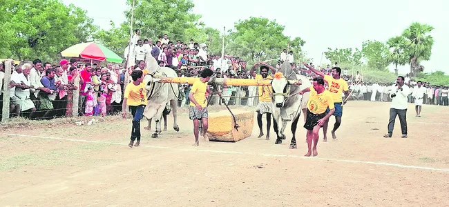సత్తా