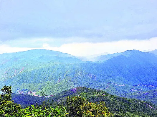 ● సందడే సందడి