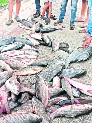ఆలస్య