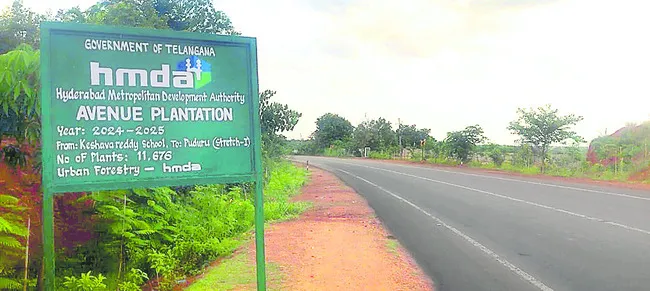 పర్యాటక శోభ