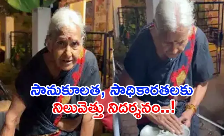 Viral Video: Army Veteran 79-Year-Old Elderly Woman Runs Food Stall