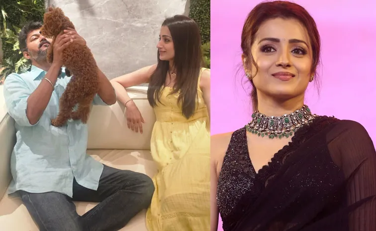 Trisha Wishes Thalapathy Vijay Latest