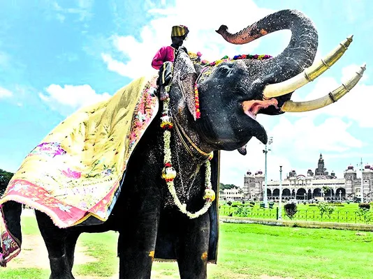 అర్జున స్మారకానికి విఘ్నాలు