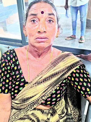 భూమిని పట్టా చేయాలి