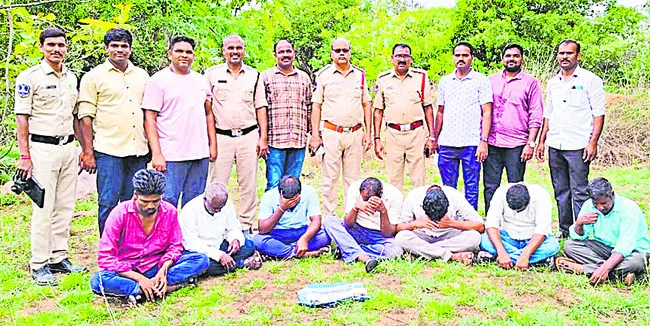 రైస్