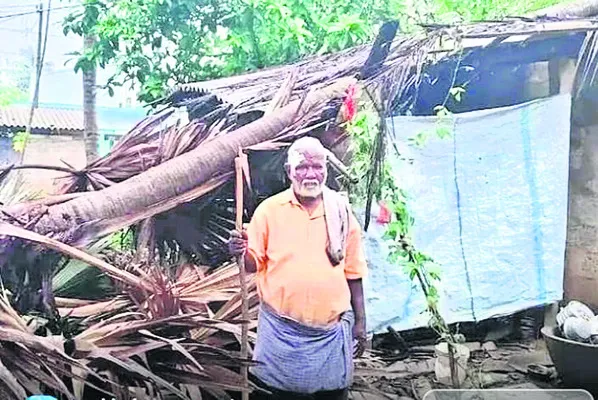 ఫ్రైడ