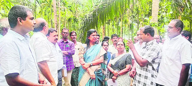కోకో సాగు విస్తీర్ణం గుర్తింపునకు ఈ–క్రాప్