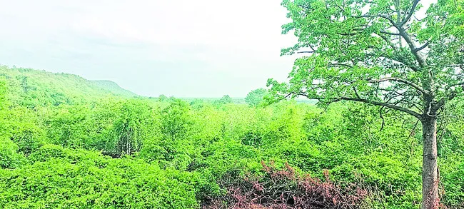 ఆహ్లా