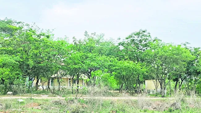 పక్కా
