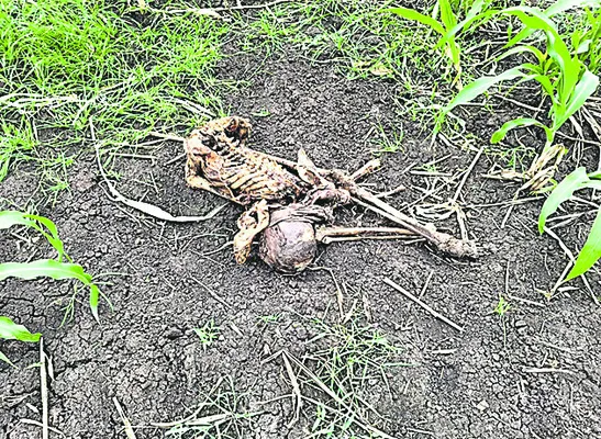 ● రూ. 3 లక్షల విలువైన మెత్‌ డ్రగ్‌ స్వాధీనం ● బెంగళూరు 