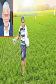 Sagubadi: Sakshi Interview with Professor Nandula Raghuram talks on Nitrogen Pollution9