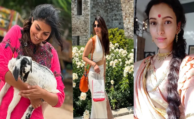 Tollywood actresses Social Media Updates Goes Viral In Instagram