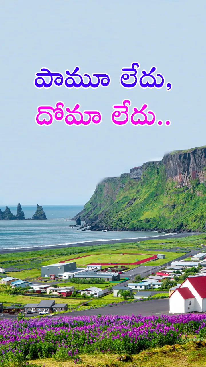 no snakes and no mosquitoes it only country in earth