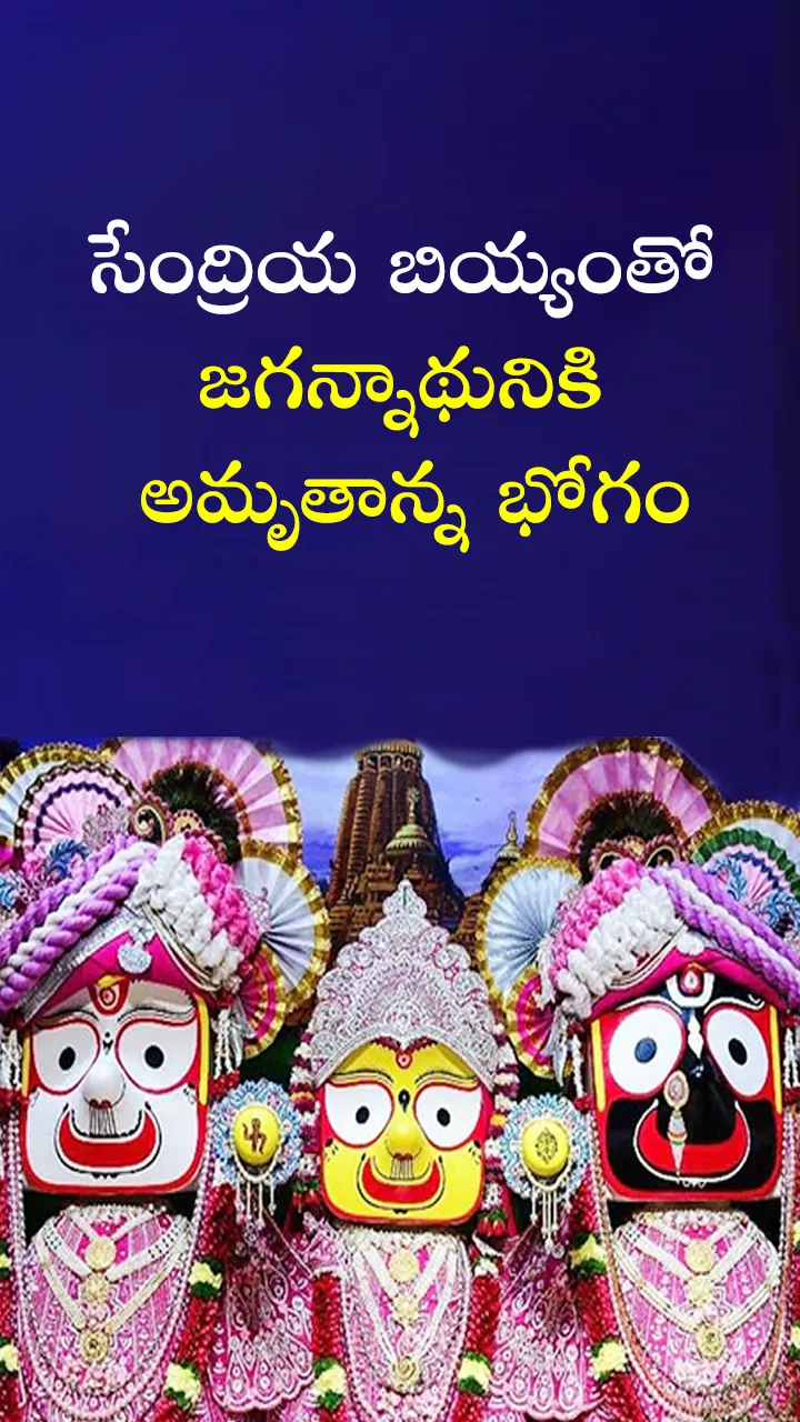 lord Jagannath Rath Yatra 2025 Amruthanna Seva offering of sacred food dedicated to Lord Jagannath.