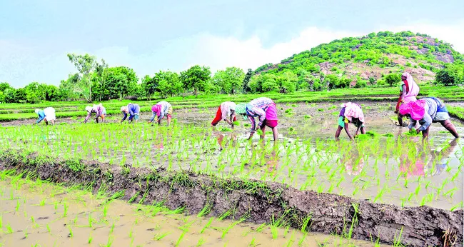 సన్నా