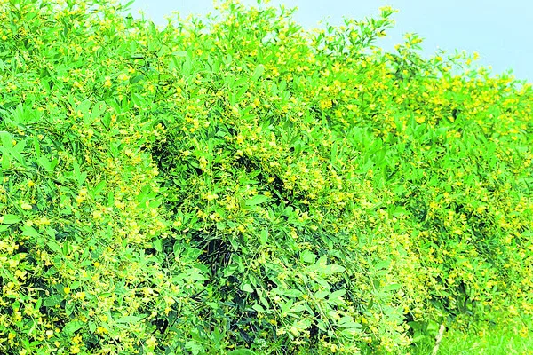అంతరప