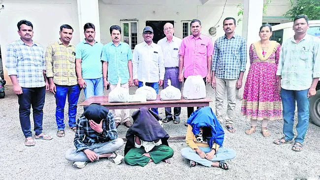 గంజాయి రవాణాలో యువతులు