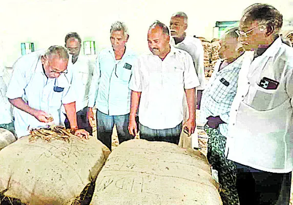 బర్లీ కొనుగోలులో జాప్యం తగదు 