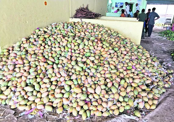 అంతా