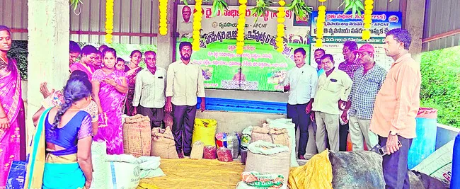నవధాన్యాల సాగుతో సారవంతం
