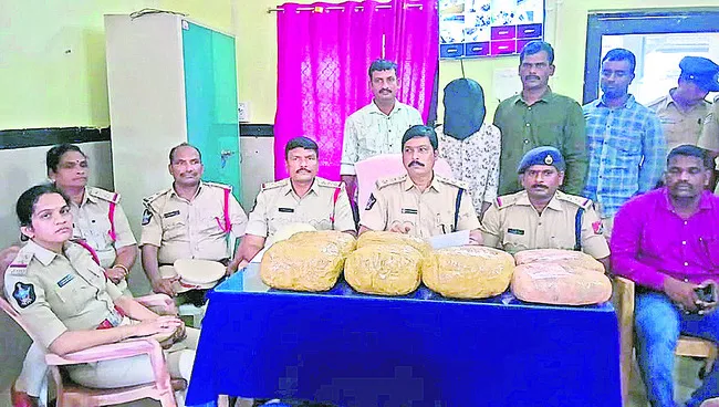 15.5 కిలోల గంజాయి స్వాధీనం
