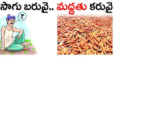 వ్యవస