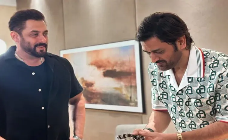 Salman Khan Buys A Cricket Team In Indian Street Premier League