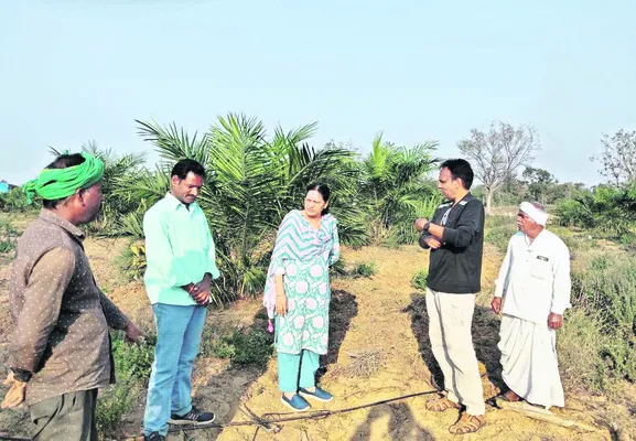 పెట్ట