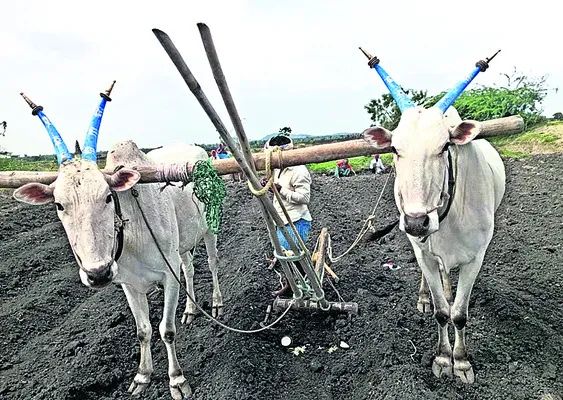 భక్తి