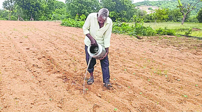పలుచో