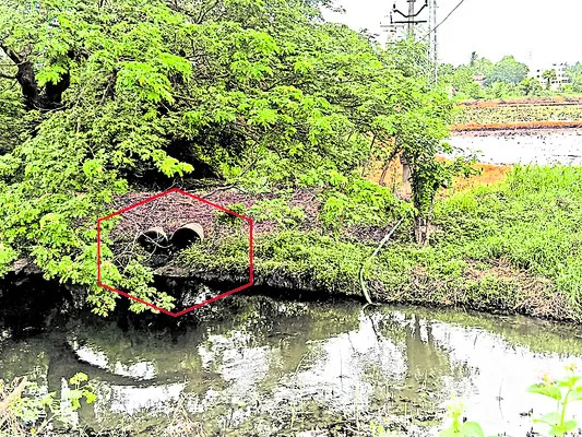 లెవల్ నిర్వహిస్తేనే..