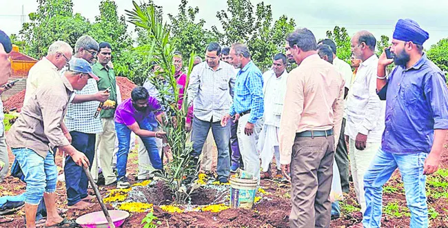 ఆయిల్పామ్తో వందశాతం భరోసా
