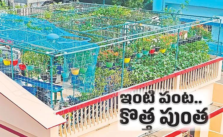 hyderabad turns as a city of terrace gardens full details sagubadi