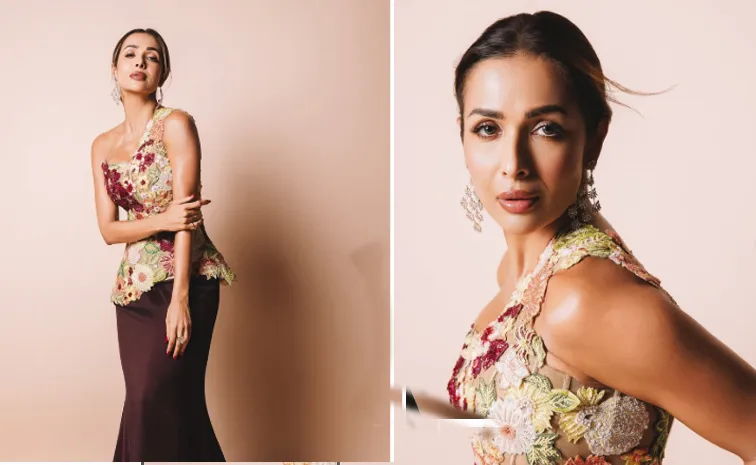 Malaika Arora wishes ex Boy Friend Arjun Kapoor on his birthday