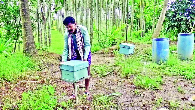విభిన