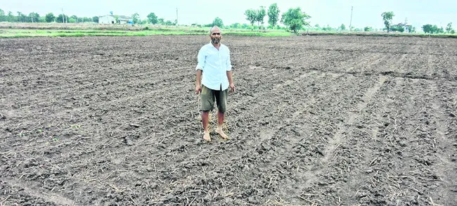 మొలకెత్తని సోయా విత్తనాలు 