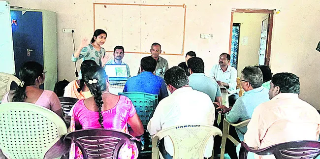 వెదురు పెంపకంతో అధిక లాభాలు