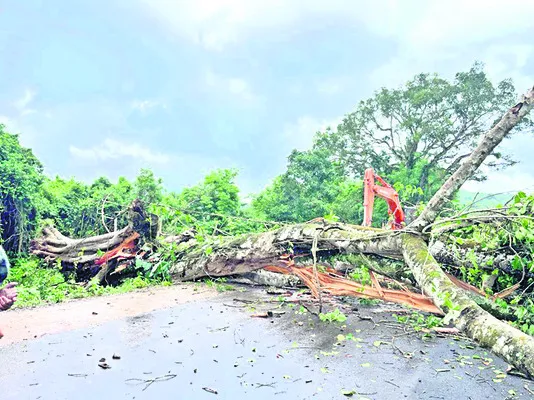 జాతీయ