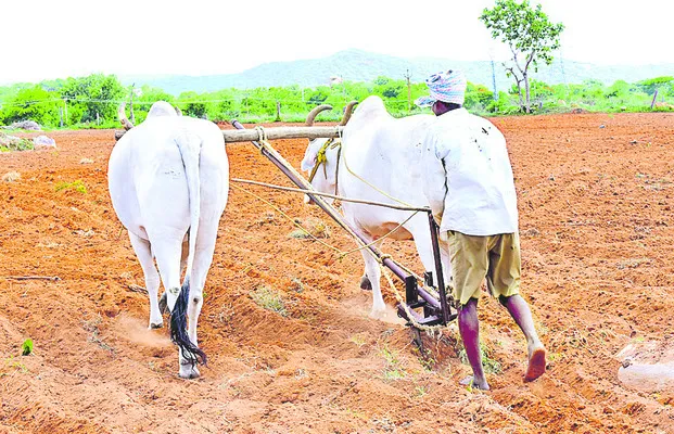 కురిస