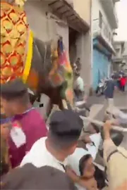 Elephants went out of control Ahmedabad Jagannath Rath Yatra2