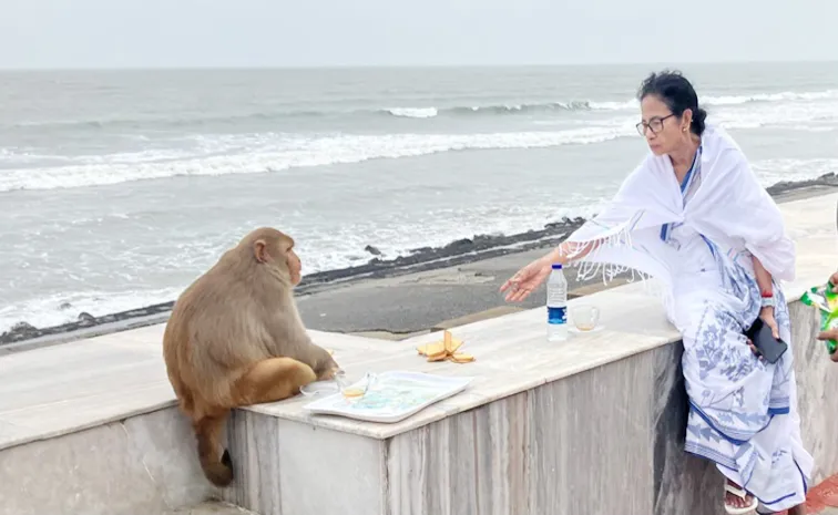 West Bengal CM Mamata Banerjee photo with monkey goes viral