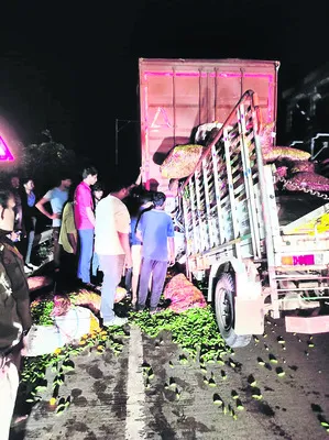 పూల కోసం వెళ్లి మృత్యు ఒడిలోకి..