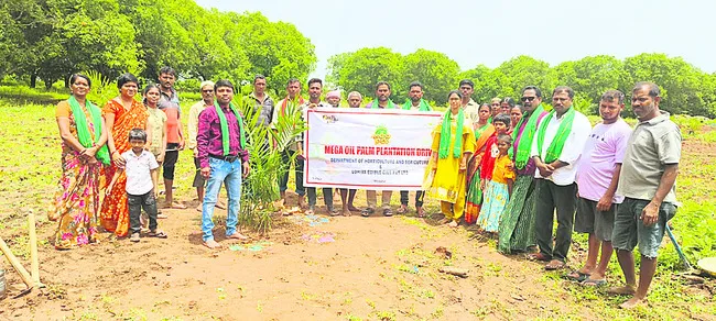 ఆయిల్