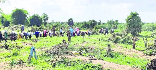 గిరిజనుల పోడు పోరు