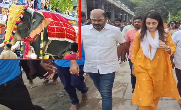 'త్రిష' మంచి మనసు.. ప్రముఖ ఆలయానికి ఏనుగు విరాళం