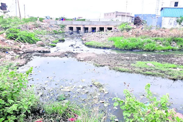 వామ్మ
