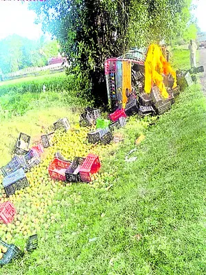 చెట్టును ఢీకొట్టిన మినీ లారీ