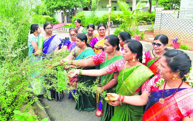 అరచేత